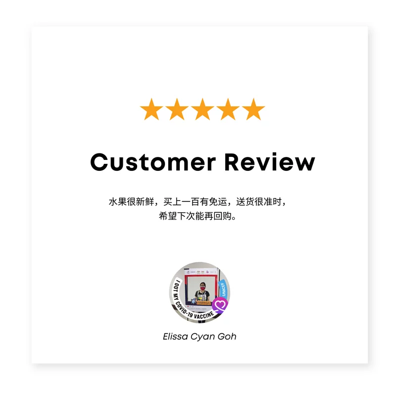 Review 11