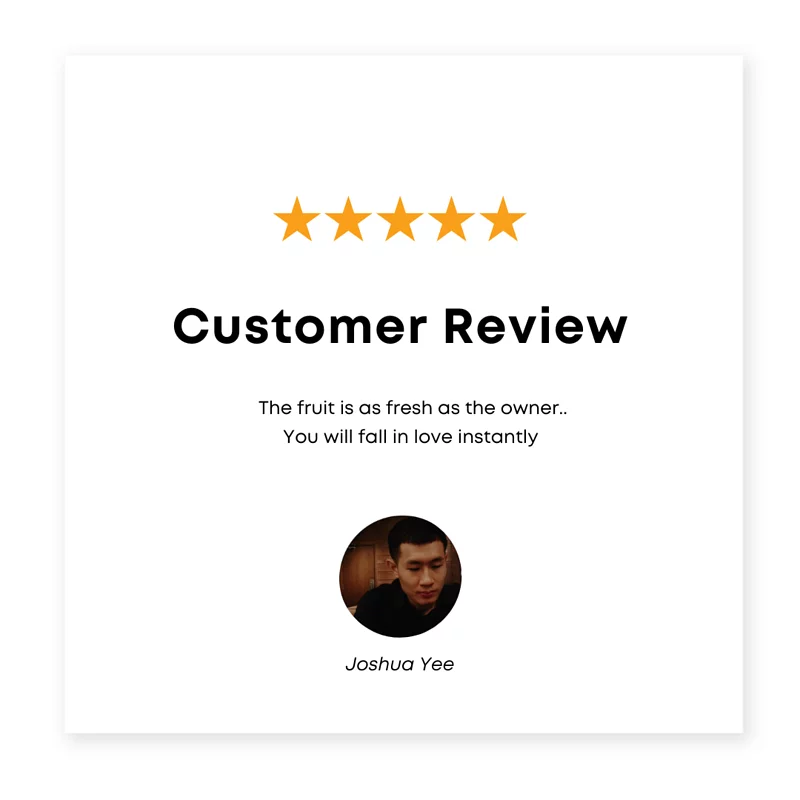 Review 12