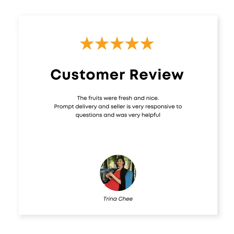 Review 5