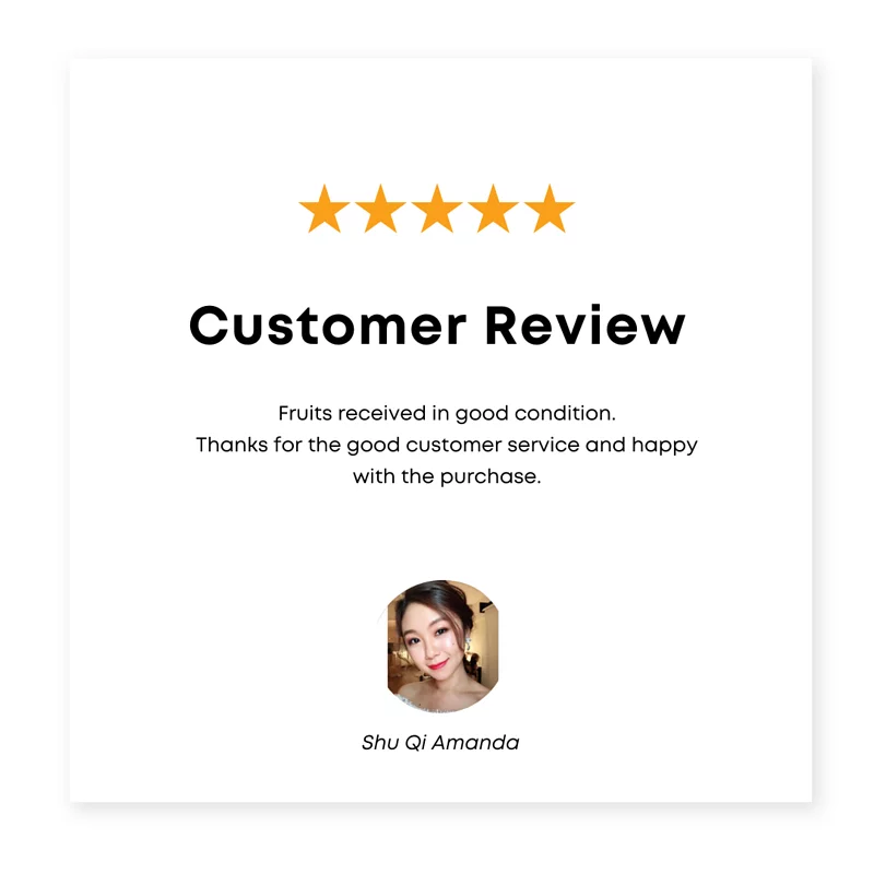 Review 8